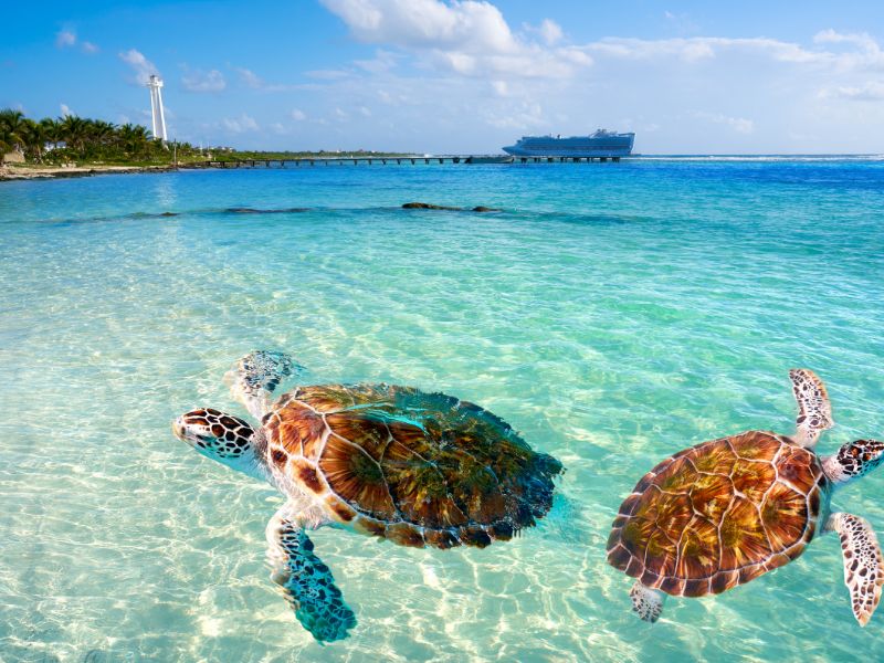 Mahahual kust en strand