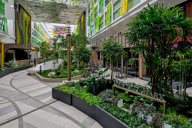 Central Park: Een Groene Oase Aboard de Icon of the Seas		