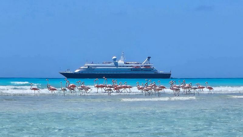 SeaDream Yacht Club introduceert exclusieve Bahama’s-reizen vanaf Palm Beach		