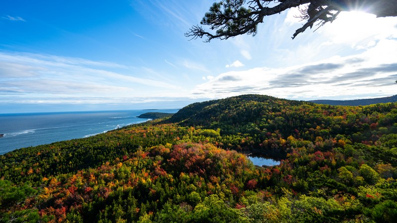 Rechter bekrachtigt limiet op cruisepassagiers in Bar Harbor		
