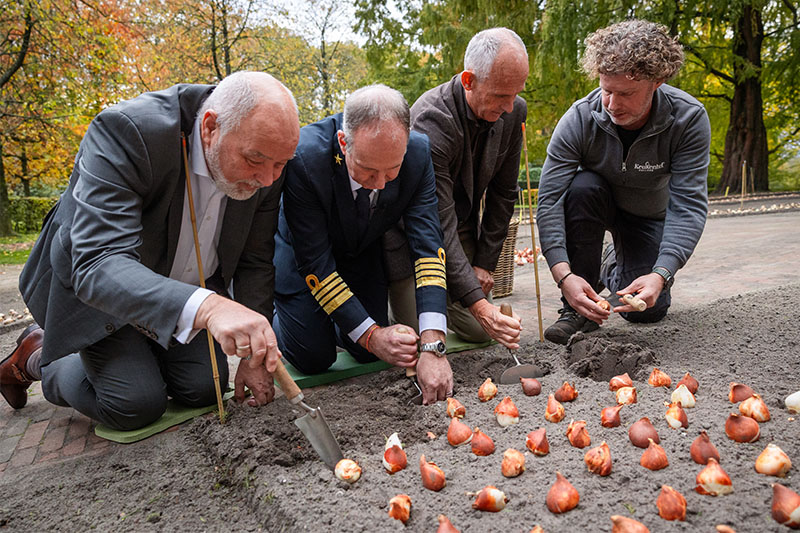 Holland America Line presenteert eigen tulp ter ere van Nederlandse wortels