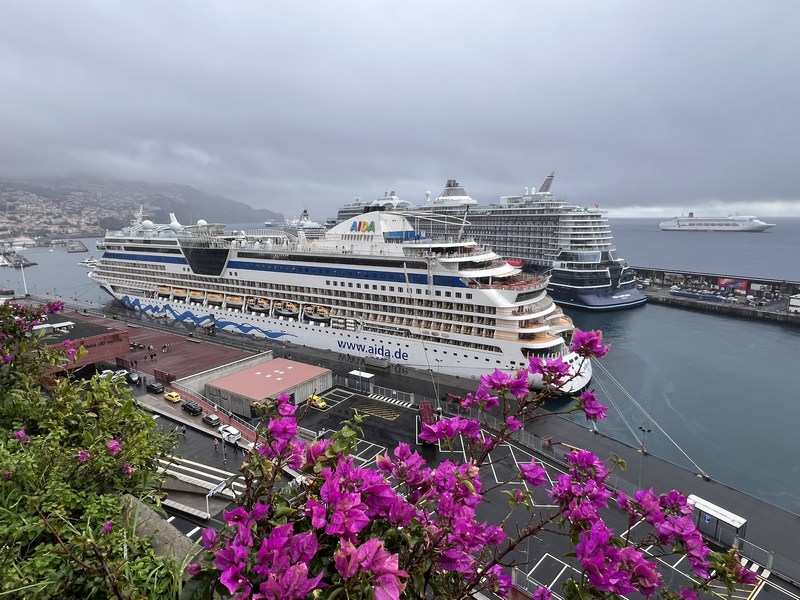 Vloot_cruiseschepen_verzamelt_zich_in_Funchal_om__te_verwelkomen