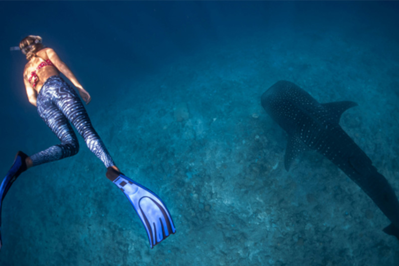 Swan_Hellenic_presenteert__duikexpedities_naar_Raja_Ampat