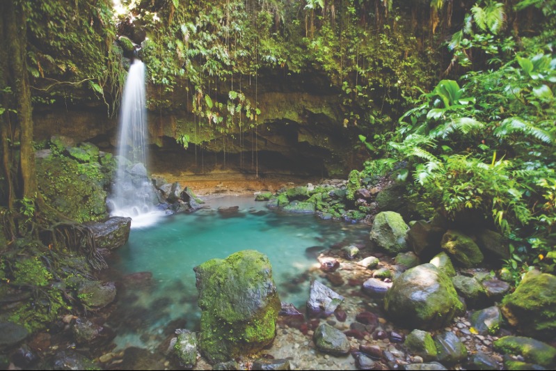 Nieuwe_excursies_in_Dominica_beschikbaar_voor_cruisereizigers