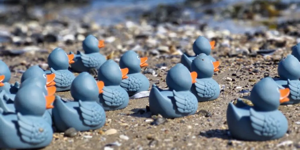 Nieuwe Duck Trail in Invergordon brengt cruisetrend voor het eerst aan land in Engeland