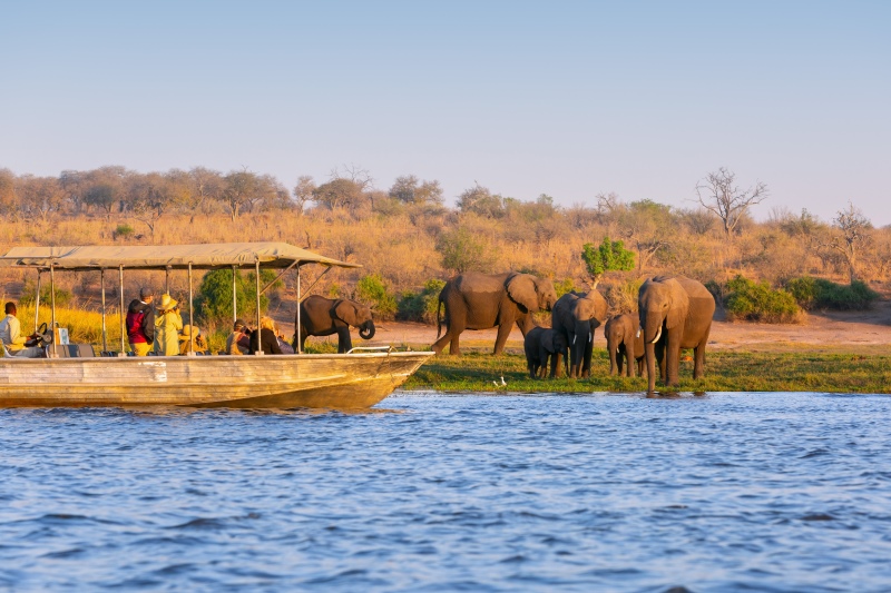 Atlas_Ocean_Voyages_presenteert_zeven_safariprogrammas_voorafgaand_aan_de_cruises_van_